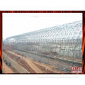 Pre-engineered Multi-span Structural Building Industrial Shed Steel Construction